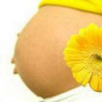 Зачатие после успешного ЭКО: беременность вторым малышом